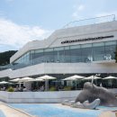 세파에 따르지 이미지