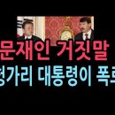 [칼럼] 망신외교 국익에 백해무익한 문재인을 끌어내서 처단하자 이미지