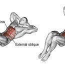 S라인 다이어트워 이미지