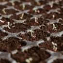 나를 돌아보는 자서전쓰기 이미지