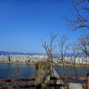 전계심의 묘비 이미지