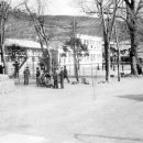 진도초등학교 이미지