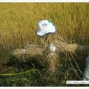 자연생활어린이집 이미지