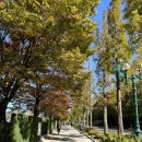 [서울근교/과천] 데이트코스 렛츠런파크 서울 경마공원