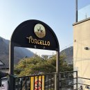 고양이숲 | [배내골카페 추천] 울산울주대형카페 토르첼로, 계곡뷰+고양이숲 체험 가능한 힐링 공간