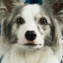 건강한 아리농장 이미지