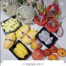 사계절 후르츠 락