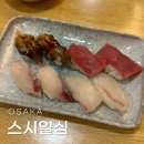 42스시 | 오사카 우메다 초밥 맛집 스시일심 스시잇신 후기