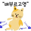 가메스시 이미지