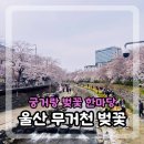 삼호동공영주차장 화장실 이미지