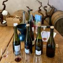 몽그라니 이미지