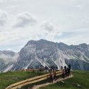 티나세차
