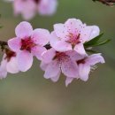 문정로48번길 이미지