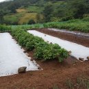 부춘농장 이미지