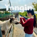 어스 | 용인 놀거리, 주말 데이트 헤븐온어스 방문후기