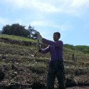 늘푸른낚시터 이미지