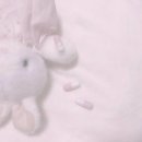 디어엔젤 이미지