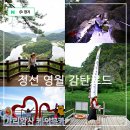이달엔영월스테이 | 강원도 정선 영월 가볼만한곳 1박 2일 감탄로드 여행 코스