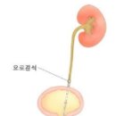 장산닥터남비뇨의학과의원 이미지