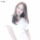 플러스비 이미지