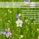 춘천양봉원 이미지