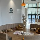 고로캣 고양이카페 | 하남 미사 고양이 카페 고로캣 고양이 카페 데이트 추천
