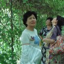 김정자농장 이미지