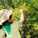 영등근린공원 이미지