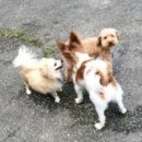 호텔 맥 이미지