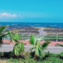 빨간머리몽 게스트하우스 이미지