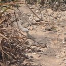 블루라군 | [신행일기#12] Day13 몰타 블루라군 투어 후기