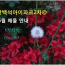 힘찬부동산중개 이미지