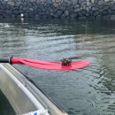 보배김밥 이미지