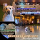 다링전자 이미지