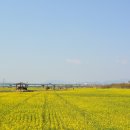 대저생태공원 이미지