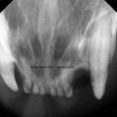 더블리스동물의료센터 이미지