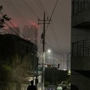 고인돌 김밥 이미지