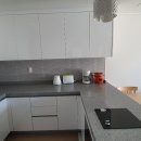 더 블루 이미지