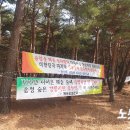 해송개발 이미지