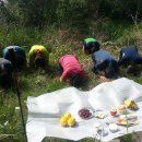 채락산장 이미지