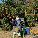 삼칠농장 이미지