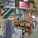 애니 팜 이미지