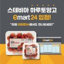 피삼십일 이미지