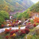인산로 이미지