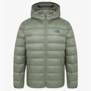 노스페이스 카카오 검색결과