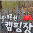 코뿔소식당 이미지