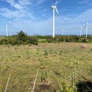 제주그루 이미지