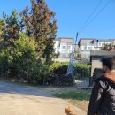 더큐브하우스리조트 이미지