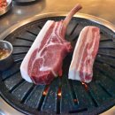 도톰협재 이미지