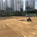 선행초등학교 이미지